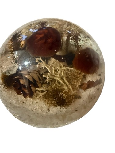 Vintage botanical gems lucite - botanical,